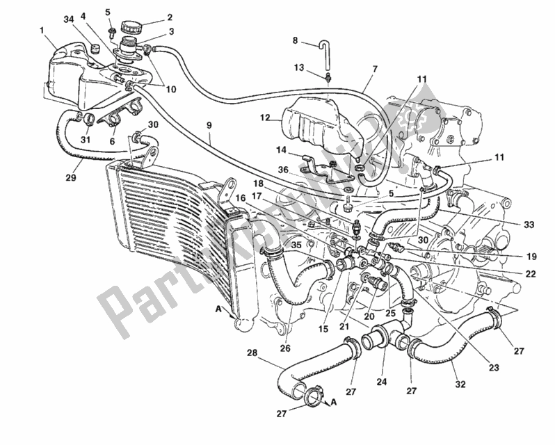 All parts for the Cooling Circuit of the Ducati Superbike 748 SPS 1999